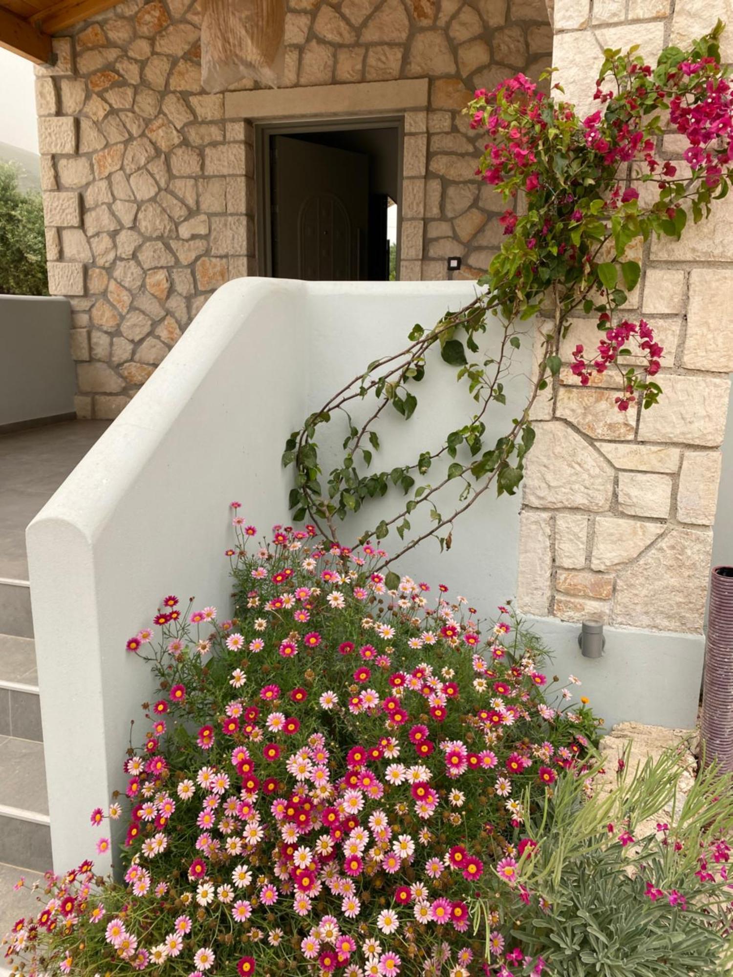 Black Pearl Zakynthos Apartment *